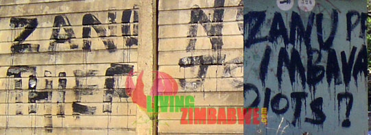 Politically Charged Graffiti In & Around Harare