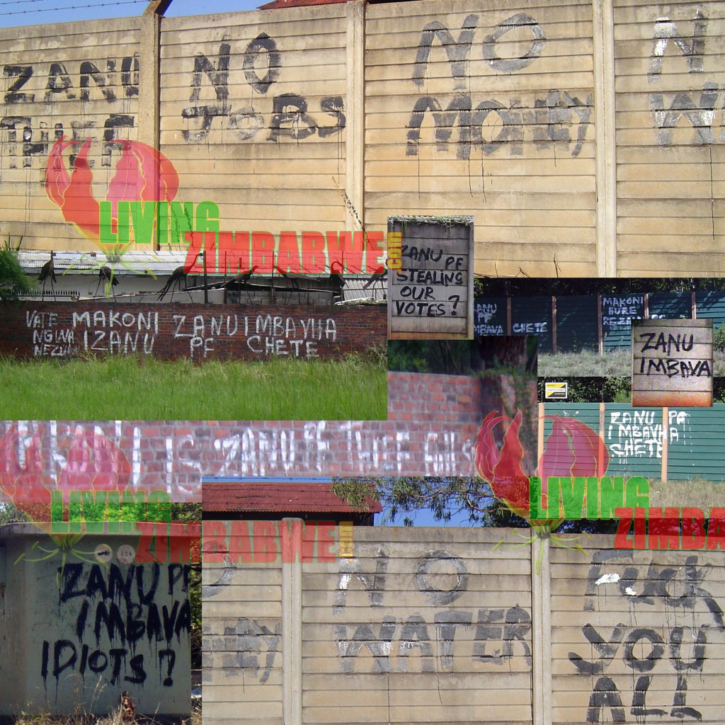 Zanu PF Hate Graffiti in Harare