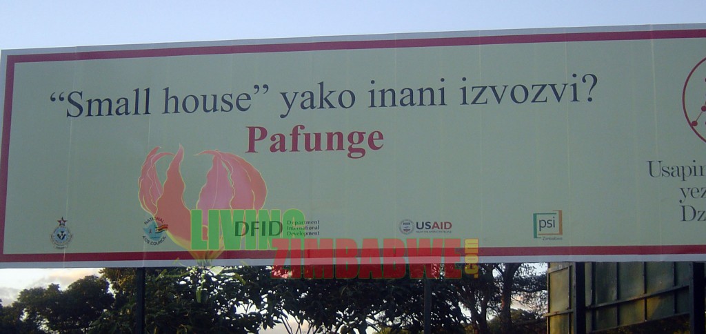 Small House Billboard - Zimbabwe