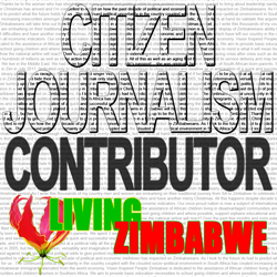 Citizen-Journalism-Contributor-Banner_250