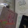 Zimbabwe-Passports-Diaspora