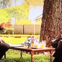 Robert-Mugabe-Interview-With-Dali-Tambo