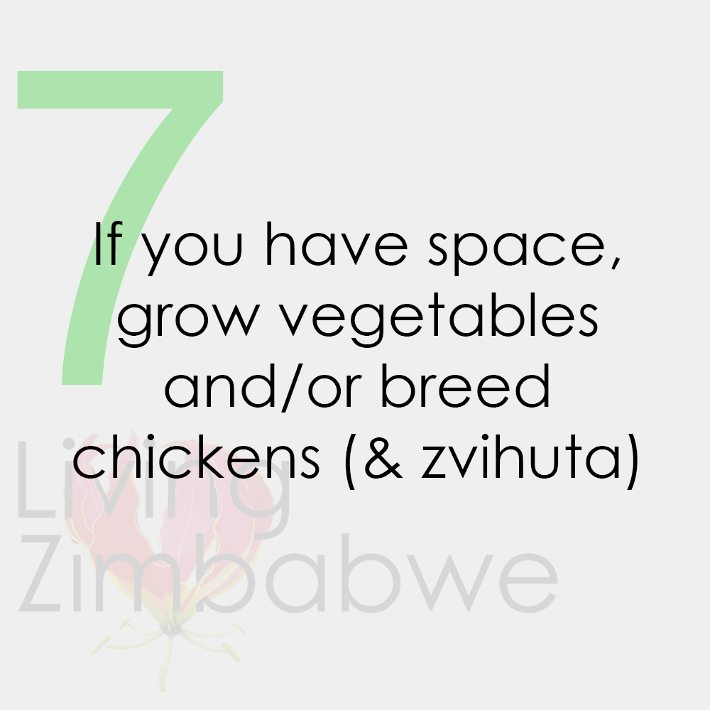 Grow-Vegetables-Breed-Zvihuta-Surviving-Zimbabwe-Bond-Notes-LZ