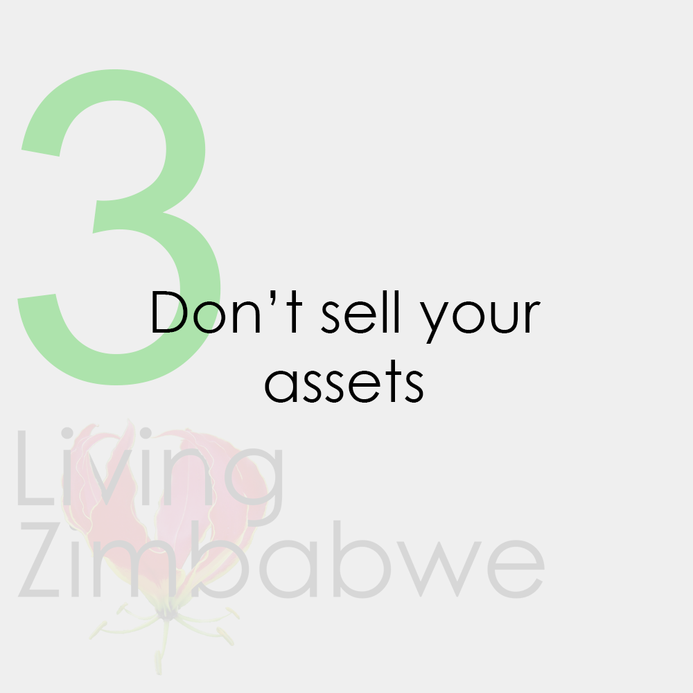 Keep-Assets-Surviving-Zimbabwe-Bond-Notes-LZ