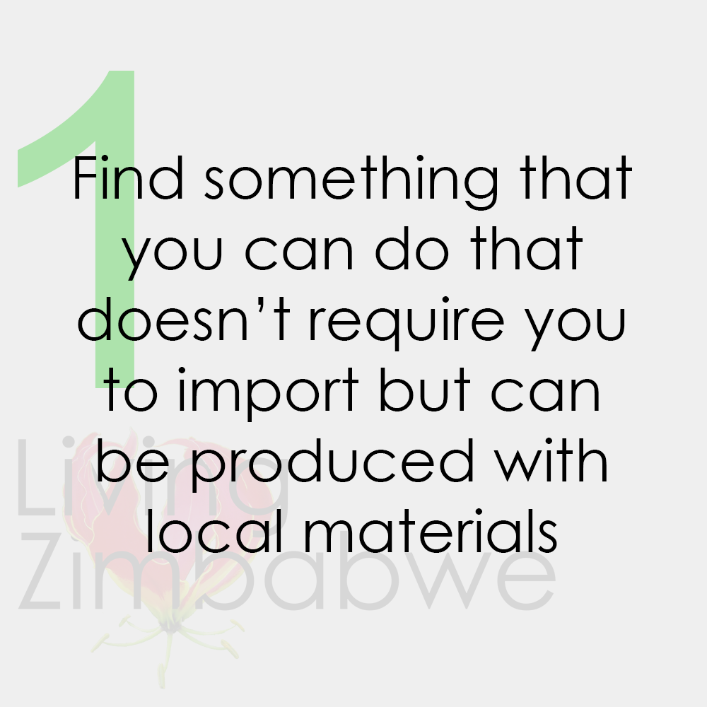 Local-Materials-Surviving-Zimbabwe-Bond-Notes-LZ