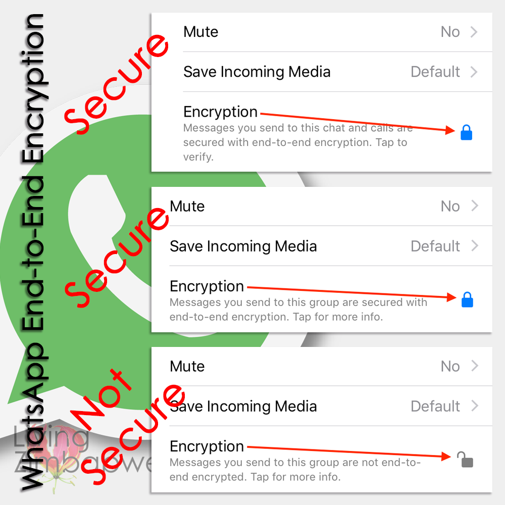 WhatsApp-End-to-End-Encryption-Living-Zimbabwe